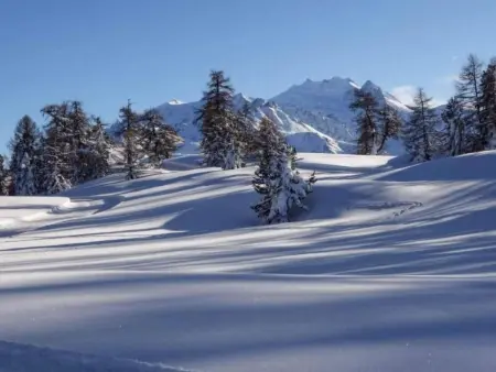 Chalet mit Blick auf die Berge, Maison 5 personnes à Törbel - Photo 48