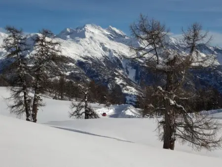 Chalet mit Blick auf die Berge, Maison 5 personnes à Törbel - Photo 50