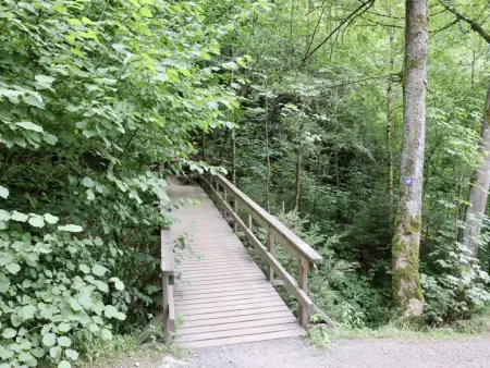 Sous les Hetres, Charmant gite près du lac de Robertville - Photo 32
