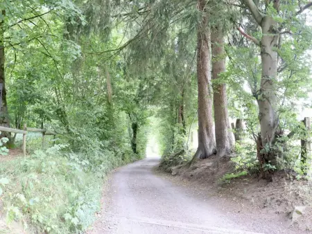 Sous les Hetres, Charmant gite près du lac de Robertville - Photo 33