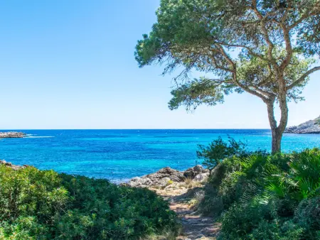 Maison moderne à 350m de la mer - 4 pers., Gite 4 personnes à Capdepera - Photo 27