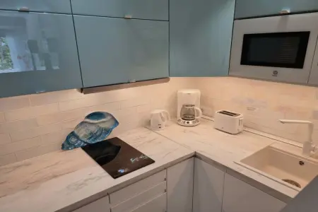 300366, Studio de luxe ALTAMIRA - Photo 11