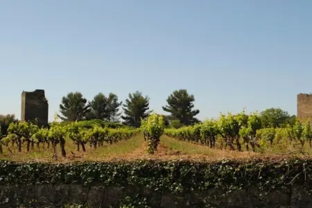 478607, Maison de vacances à Cotignac avec piscine - Photo 34