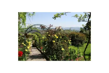 21644, Maison de vacances avec 1 chambre - Photo 11