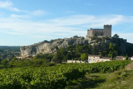 21644, Maison de vacances avec 1 chambre - Photo 12