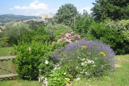 21644, Maison de vacances avec 1 chambre - Photo 25