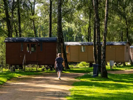 Camping Papillon Kinrooi - Pipowagen 4 p. terras - Photo 6