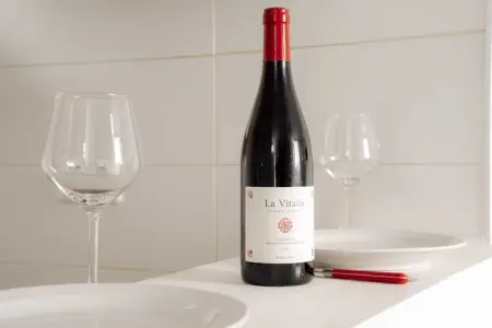 MA-9-DOCTEURAUGROS-1, Appartement Cosy 1BR/2P - Vieux Lyon - Photo 23