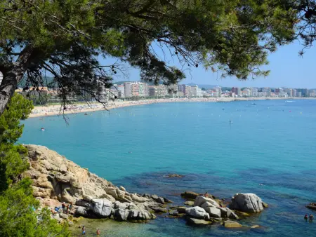 Xaloc, Appartement 4 personnes à St Antoni de Calonge - Photo 20