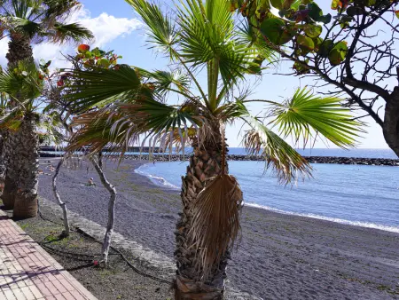 Appartement accueillant proche mer - 4 pers., Appartement 4 personnes à Puertito De Güímar - Photo 33