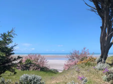 Maison avec parking - 6 pers., Mobil Home 6 personnes à Saint Pair sur Mer - Photo 21