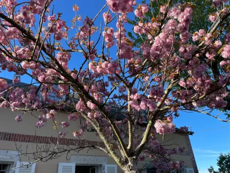 Maison de campagne authentique - Fosse, Gite 9 personnes à Brinay - Photo 23