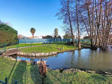 Le Clos des Chênes, Maison 4 personnes à Les Mathes - Photo 4