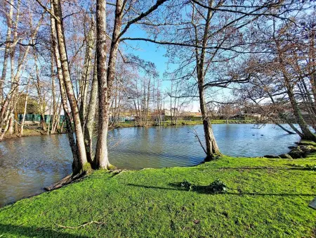 Le Clos des Chênes, Maison 4 personnes à Les Mathes - Photo 23