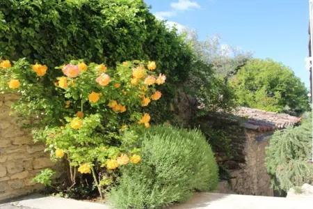 207129, Appartement de vacances à Nyons avec piscine - Photo 7