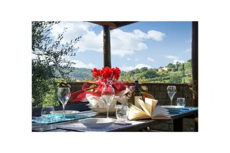 313601, Villa à Riparbella avec piscine - Photo 3