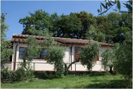 313601, Villa à Riparbella avec piscine - Photo 9