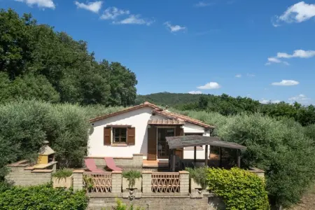 313601, Villa à Riparbella avec piscine - Photo 11
