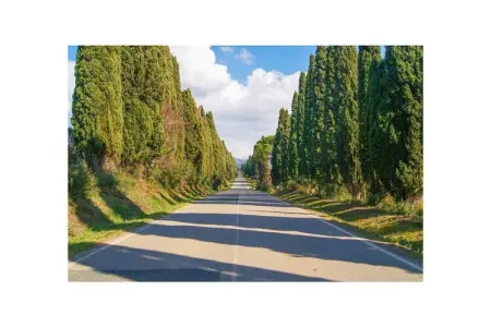 313601, Villa à Riparbella avec piscine - Photo 36