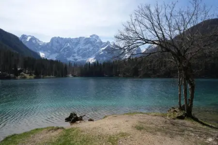 La Bergamina 2, Appartement à Verbania près du lac et îles - Photo 19