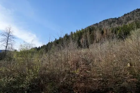 La Bergamina 2, Appartement à Verbania près du lac et îles - Photo 20