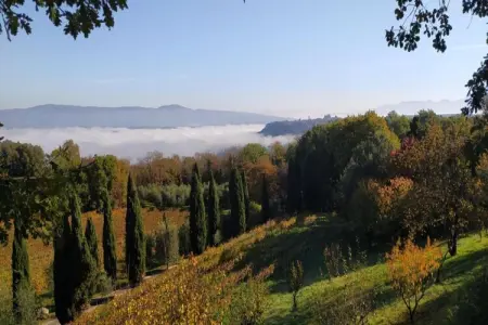La Bergamina 2, Appartement à Verbania près du lac et îles - Photo 26