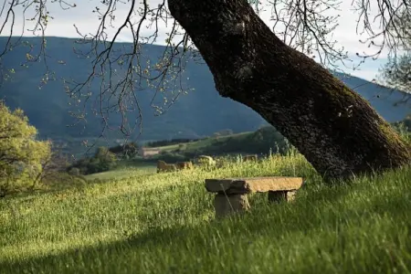 La Bergamina 2, Appartement à Verbania près du lac et îles - Photo 35