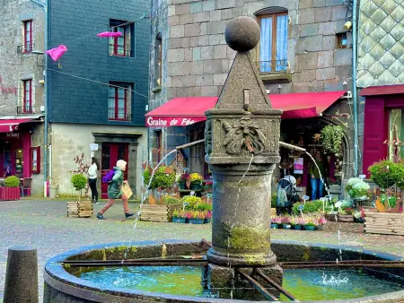 Gîte de charme, animaux OK, parking - 10 pers., Maison 10 personnes à Besse et Saint Anastaise - Photo 18