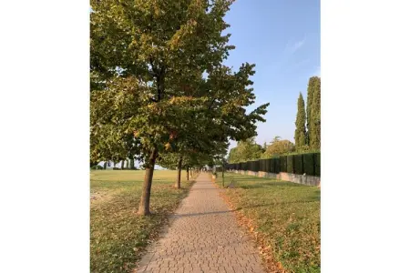 376966, « Salò », à Desenzano del Garda - Photo 14