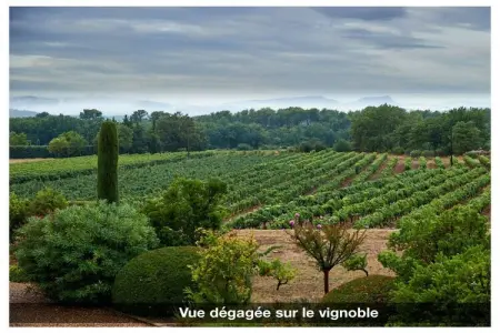 485117, Maison de vacances à Cotignac avec piscine - Photo 35