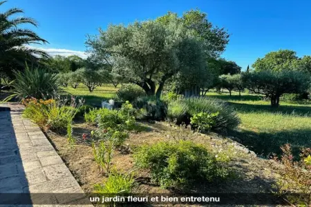 485117, Maison de vacances à Cotignac avec piscine - Photo 36