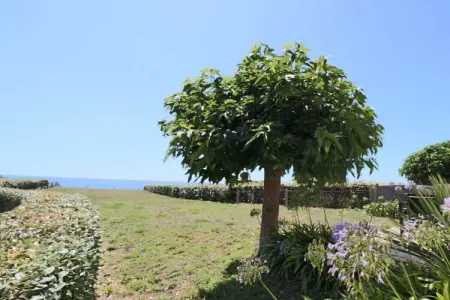 266459, Maison de vacances à Plouhinec avec terrasse - Photo 15