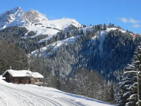 Chalet 1899, Chalet 4 personnes à Villars - Photo 22