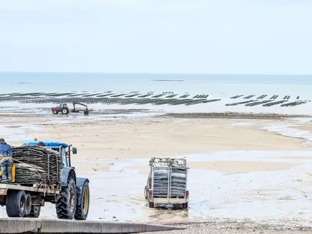 Gîte 2  Le Bateau Yves, Gite 2 personnes à Blainville sur Mer - Photo 29