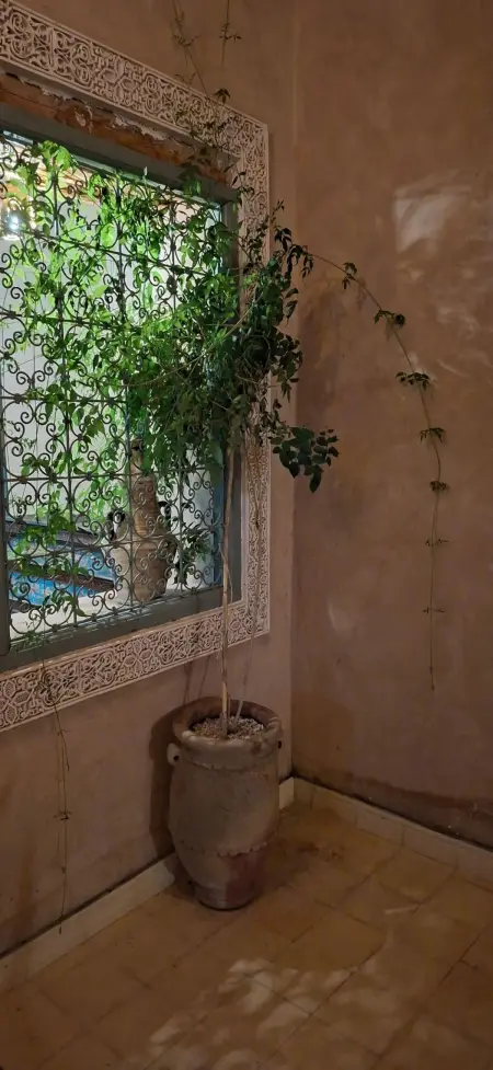 Villa avec piscine privée à Msikha, Villa 8 personnes à Msikha - Photo 1