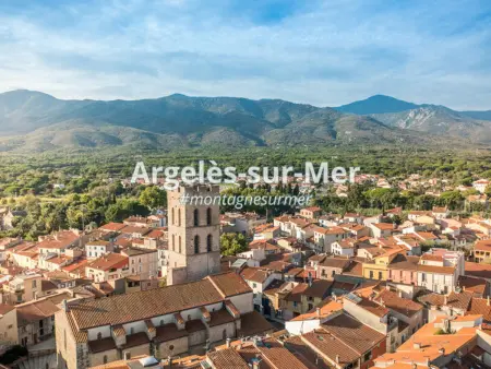 Appartement climatisé, parking - 6 pers., Appartement 6 personnes à Argelès sur Mer - Photo 9