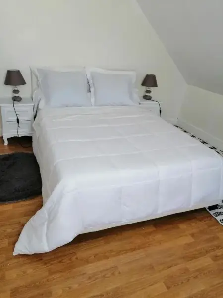 Maison familiale Aulnay-sous-Bois 155 m² terrasse - Photo 5