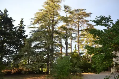 Saint-Cloud, Maison de vacances Valréas pour quatorze personnes - Photo 31