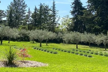 Saint-Cloud, Maison de vacances Valréas pour quatorze personnes - Photo 32