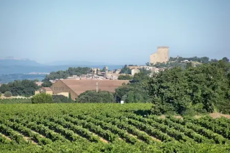 Amélie-Rosalie-Éline, Domaine avec piscine et terrain de pétanque - Photo 23