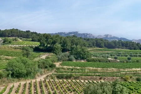 Amélie-Rosalie-Éline, Domaine avec piscine et terrain de pétanque - Photo 24