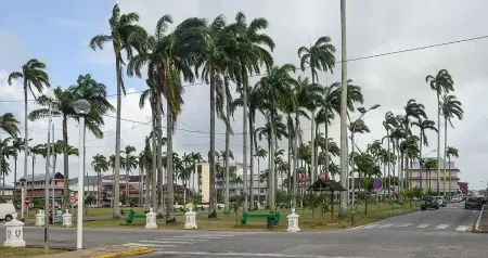Appartement à Cayenne 31 m² avec balcon, Appartement 2 personnes à Cayenne - Photo 8