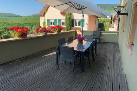 274959, Terrasse Alfons || PFAFFENHEIM - Photo 6