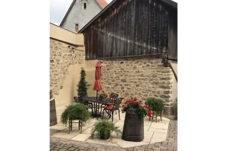 274959, Terrasse Alfons || PFAFFENHEIM - Photo 8