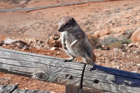 540624, ||----------------Casa Isla del Sol----------------|| - Photo 30