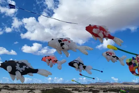 540624, ||----------------Casa Isla del Sol----------------|| - Photo 34