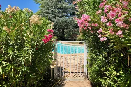 378542, CLOS DES CHENES || Var - Photo 4