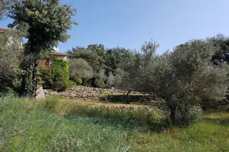 429975, Maison de vacances à Carces avec piscine - Photo 7