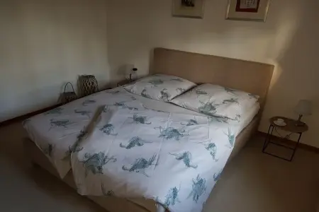 429975, Maison de vacances à Carces avec piscine - Photo 20