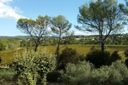 429975, Maison de vacances à Carces avec piscine - Photo 34
